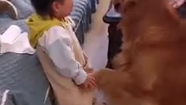 Wow... cute dog with baby girl