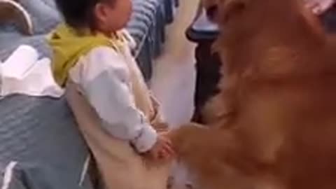 Wow... cute dog with baby girl