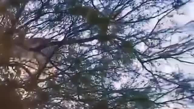 FLYING SAUCER ESCAPES THE ARMED FORCES WATCH THE VIDEO AND SHARE
