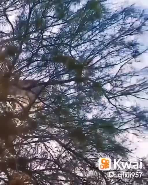 FLYING SAUCER ESCAPES THE ARMED FORCES WATCH THE VIDEO AND SHARE