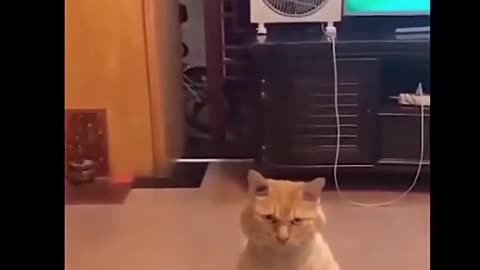 Funny
