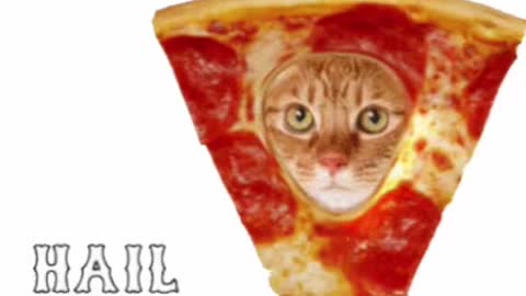 Cute Cat Pizza Gif! 🥰💗🐈🍕