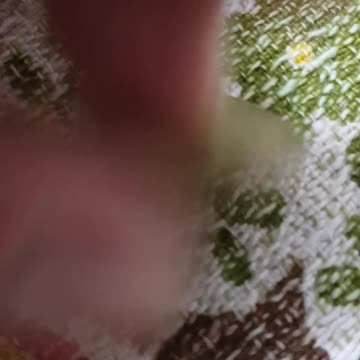 Indonesian 500 rupiah 2000