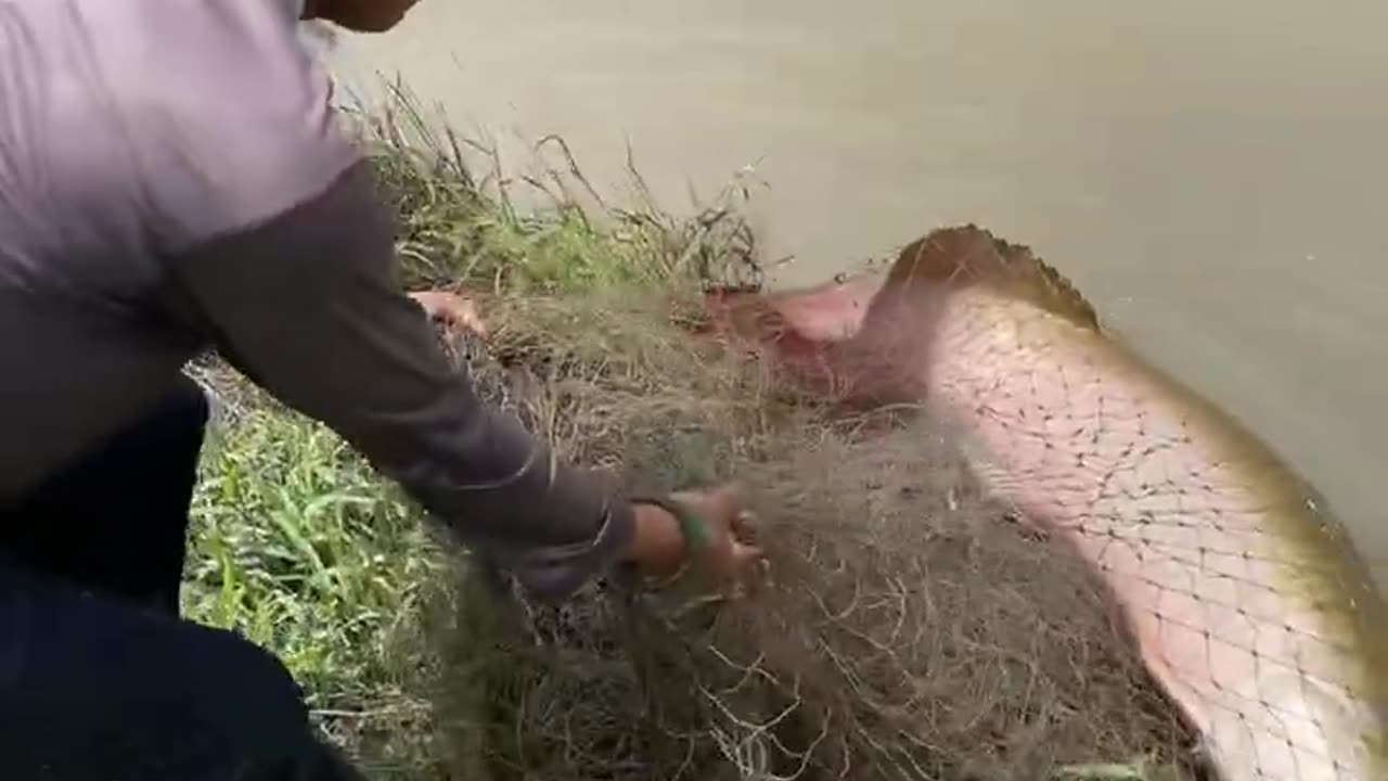 Amazing Cast Net Fishing Skills That Is On Another Level 😱