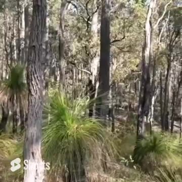 Spring walk out to Hewett's