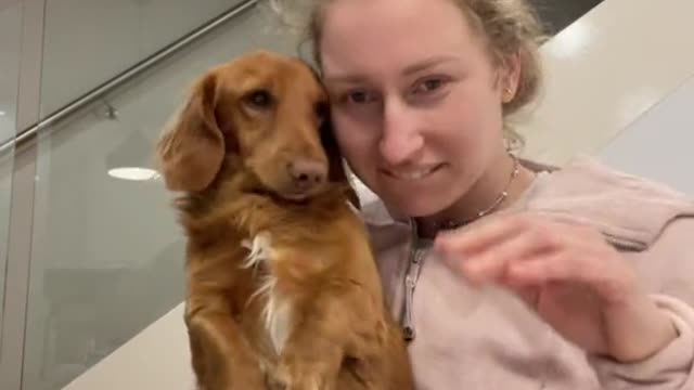 Cute Dancing Dog