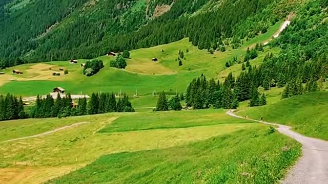 This beautiful landscape ⛰️🌲