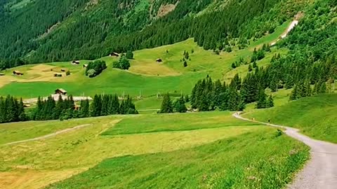 This beautiful landscape ⛰️🌲