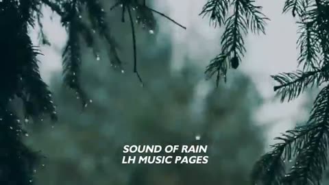 Rainstorm Sounds for Deep Sleep - 8h