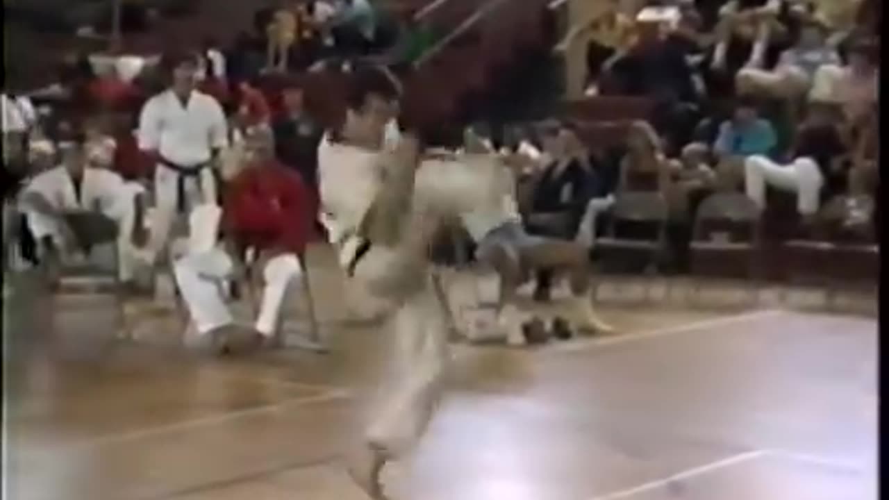 NYC Martial Arts Masters