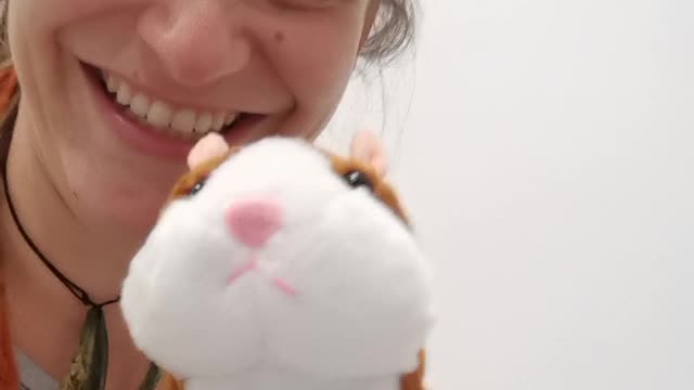 Funny hamster