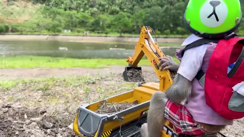 Monkey Baby Bim Bim Drives To The Pool And Opens Surprise Eggs With Puppy in the garden