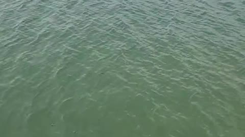 The area of this lake is very large and the water is so clear that the locals can drink it directly.