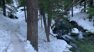 River Roaring Beneath Bridge – Tamanawas Falls – Mount Hood – Oregon – 4K