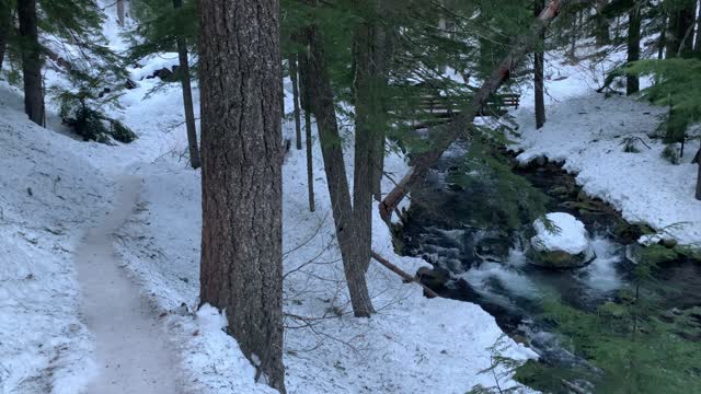 River Roaring Beneath Bridge – Tamanawas Falls – Mount Hood – Oregon – 4K