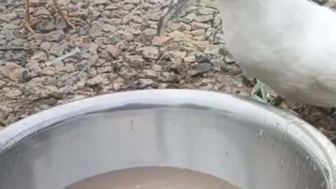 holy sh@@ that's an appetite