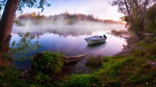 Nature River Boat Bird Mist Trees Coast