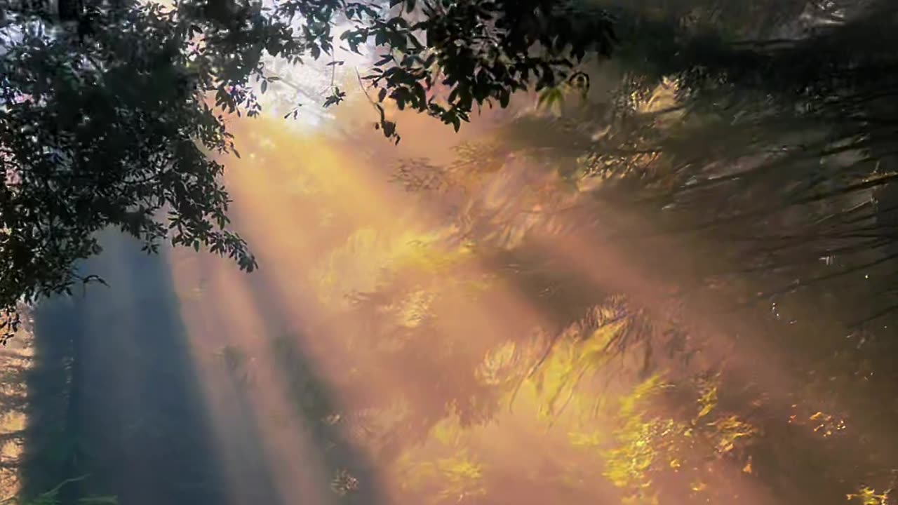 Good morning 🌞 views video| Nice day| New video upload
