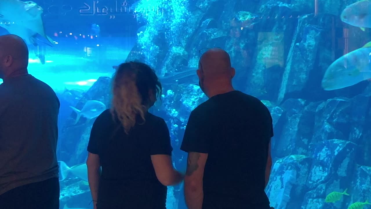 Dubai mall