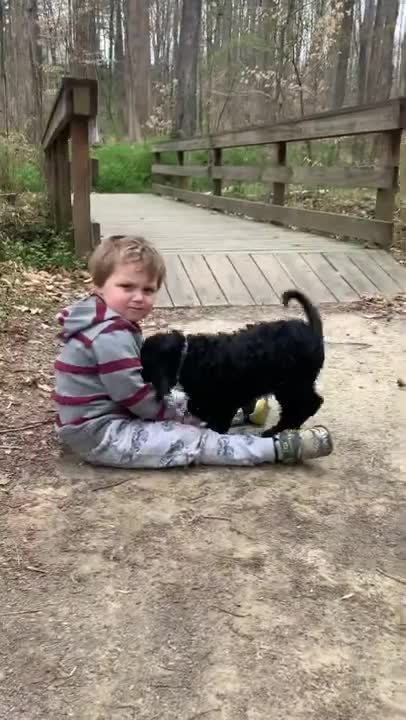 LABRADOODLE PUPPY PLAYING WITH BABY