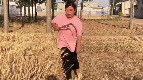 best chinese funny videos