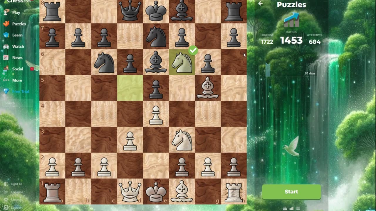 Chess Puzzles