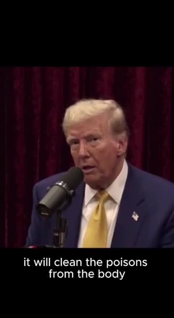 "We're working on a MORINGA Project w/ RFK Jr" (It cleans poisons out of the body) - Trump to Rogan