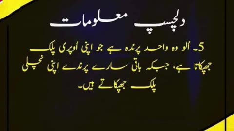 Dilchasp maloomaat Best urdu Quotes