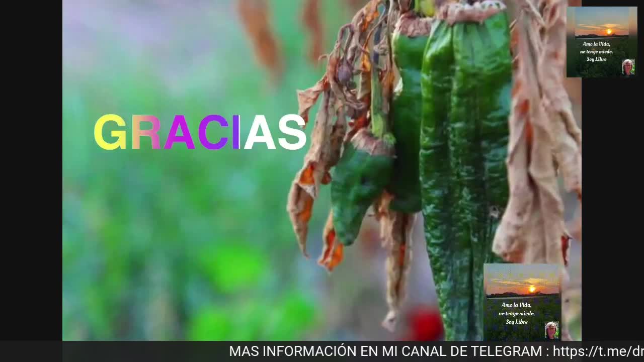 NADIE TE VA A REGALAR LA LIBERTAD