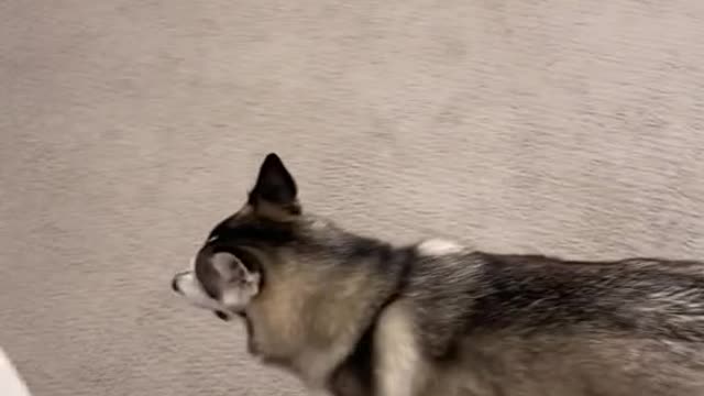 WAIT FOR THE EPIC CRASH AT THE END