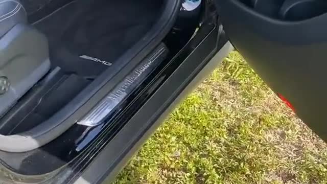 Cute Prairiedog trying to get in the car