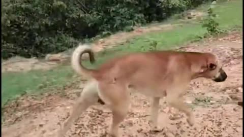 #funney
