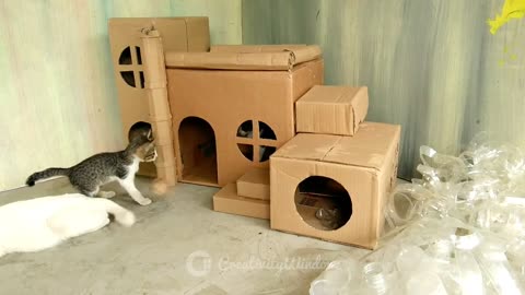 CAT HOUSE, DIY CARDBOARD BOX IDEAS