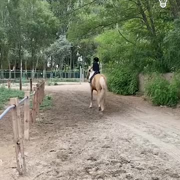 This kid has some impressive horse riding skills!