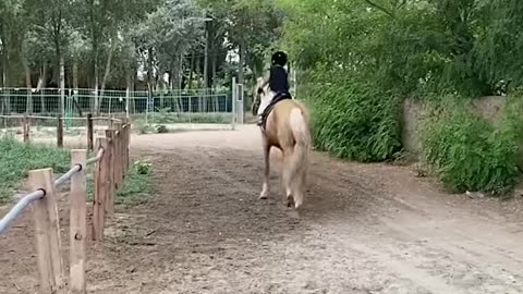 This kid has some impressive horse riding skills!