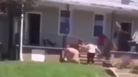 A cat scared for a fight