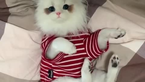 Guess or