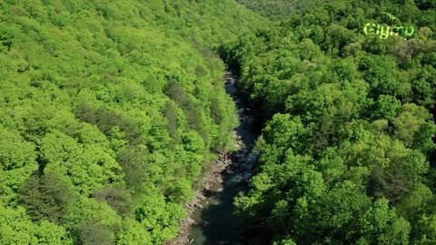 Old Jamaican Folklore Story Time :-)