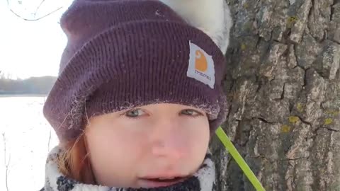 Atlas the mink enjoys a below 0°f winter walk!