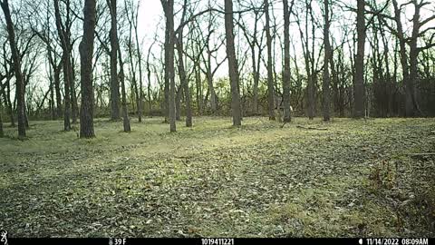 Compilation of two cams