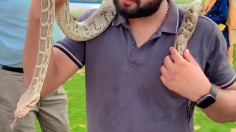 World Snake Day