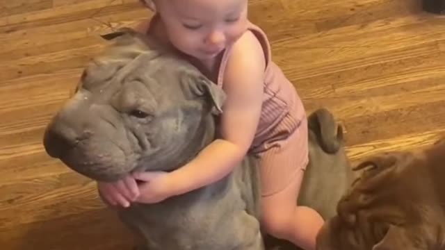 Cute little girl kiss😘 the nose bully 🐶 compilation videos