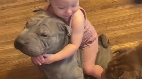 Cute little girl kiss😘 the nose bully 🐶 compilation videos