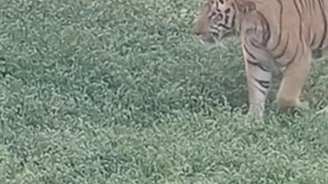 Nehru Zoo Park Hyderabad