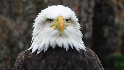 Pray USA, 9/6/22 Stronger Still