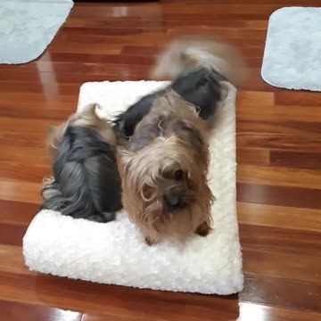 When you're the old guy on the block and can't take it anymore