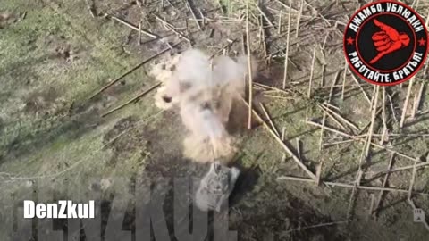 The episode of hostilities near Kremennaya