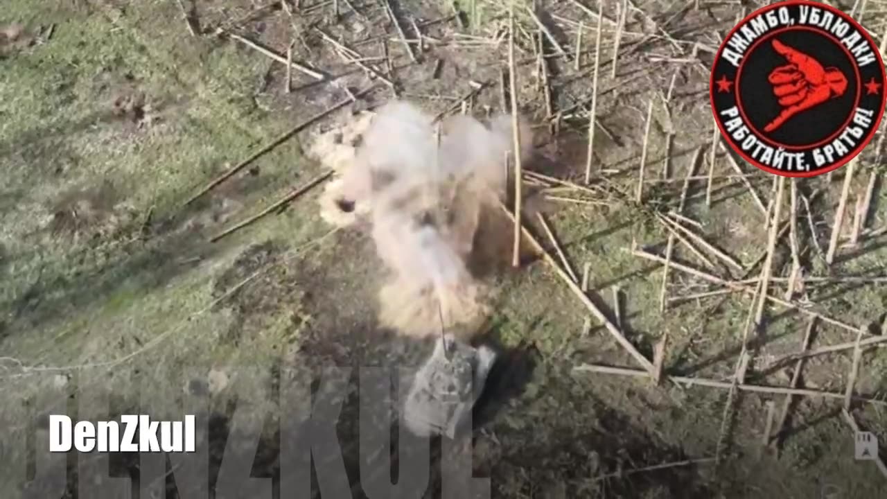 The episode of hostilities near Kremennaya