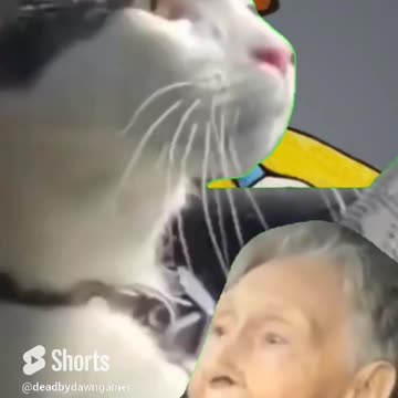 Cat with singing lady.