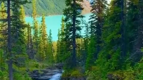 Beautiful Nature